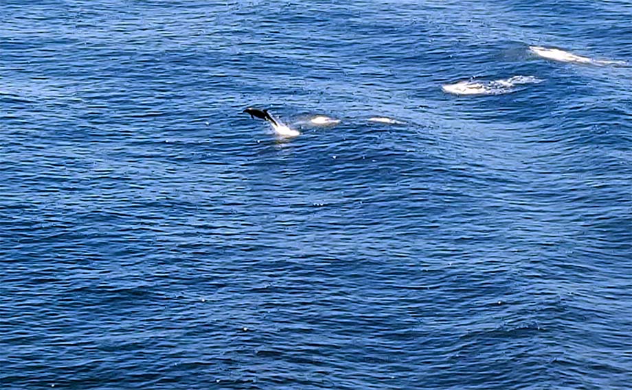 Somewhere in the Atlantic Ocean